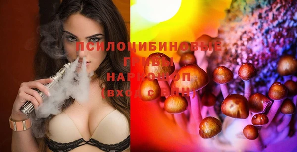 шишки Баксан